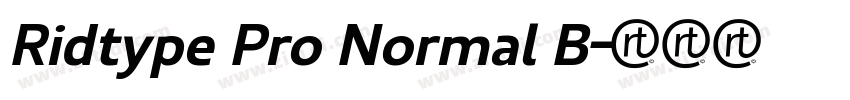 Ridtype Pro Normal B字体转换